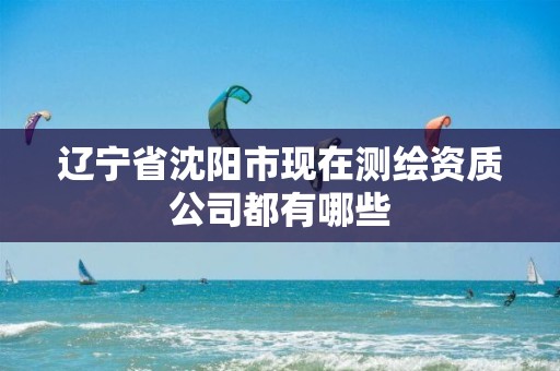 辽宁省沈阳市现在测绘资质公司都有哪些