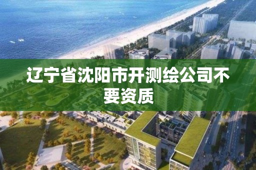 辽宁省沈阳市开测绘公司不要资质