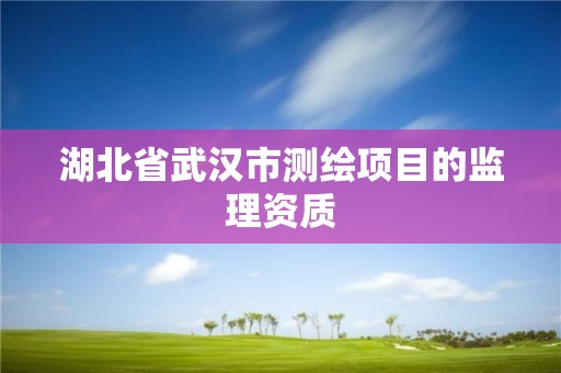 湖北省武汉市测绘项目的监理资质