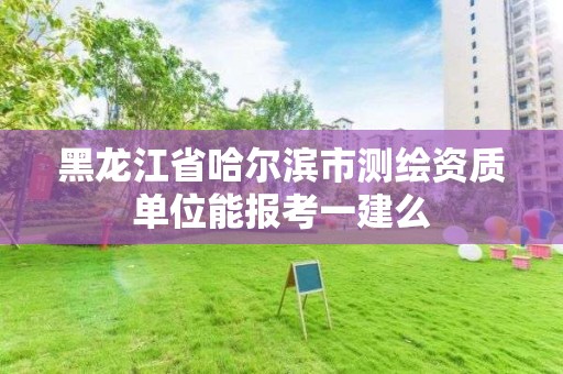 黑龙江省哈尔滨市测绘资质单位能报考一建么