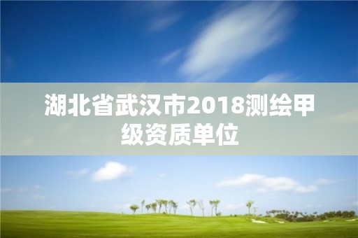 湖北省武汉市2018测绘甲级资质单位