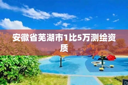 安徽省芜湖市1比5万测绘资质