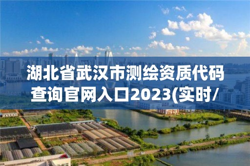 湖北省武汉市测绘资质代码查询官网入口2023(实时/更新中)