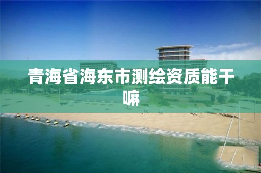 青海省海东市测绘资质能干嘛