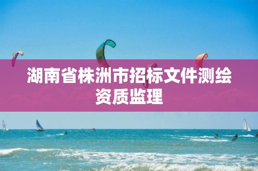 湖南省株洲市招标文件测绘资质监理