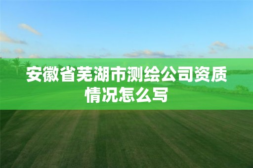 安徽省芜湖市测绘公司资质情况怎么写