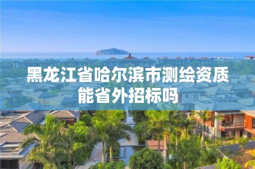 黑龙江省哈尔滨市测绘资质能省外招标吗