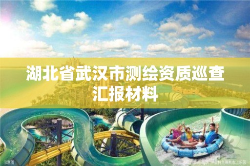 湖北省武汉市测绘资质巡查汇报材料