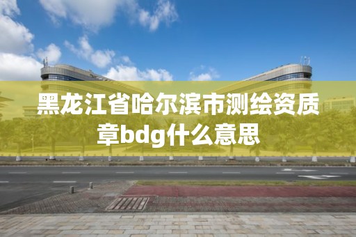 黑龙江省哈尔滨市测绘资质章bdg什么意思