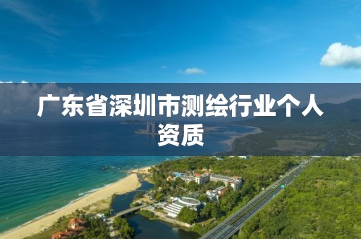 广东省深圳市测绘行业个人资质