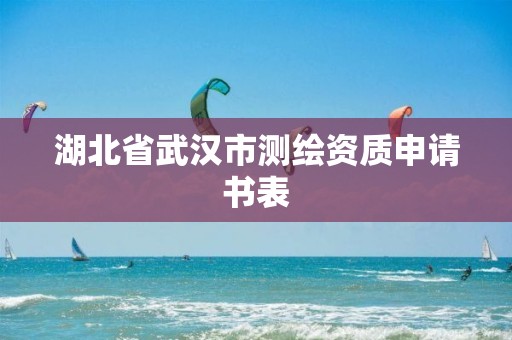 湖北省武汉市测绘资质申请书表