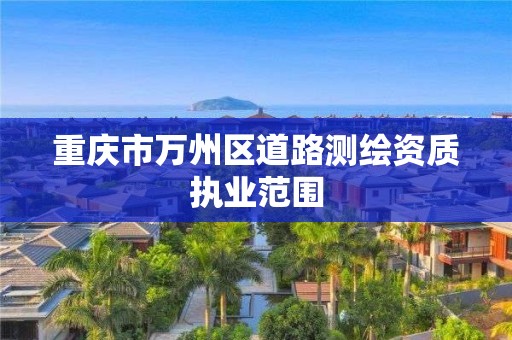 重庆市万州区道路测绘资质执业范围