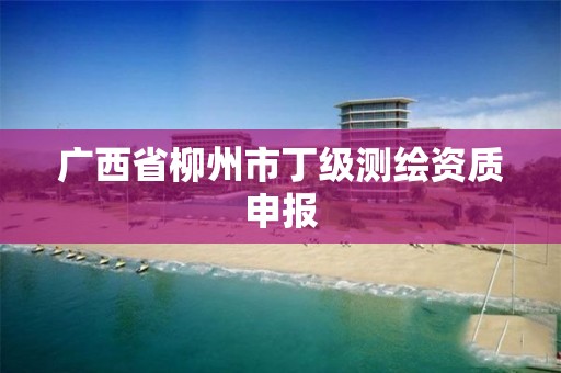 广西省柳州市丁级测绘资质申报