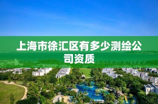 上海市徐汇区有多少测绘公司资质