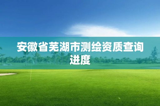 安徽省芜湖市测绘资质查询进度