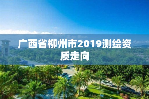 广西省柳州市2019测绘资质走向