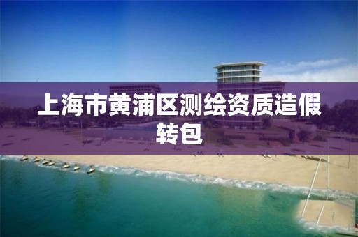 上海市黄浦区测绘资质造假转包