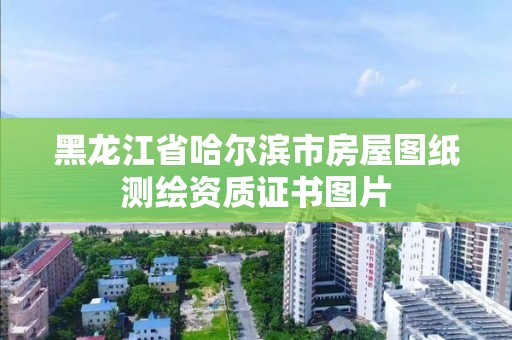 黑龙江省哈尔滨市房屋图纸测绘资质证书图片