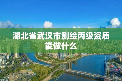 湖北省武汉市测绘丙级资质能做什么