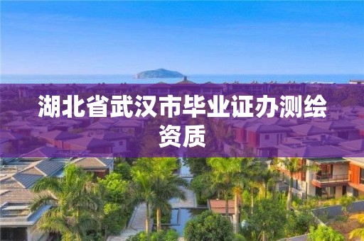 湖北省武汉市毕业证办测绘资质