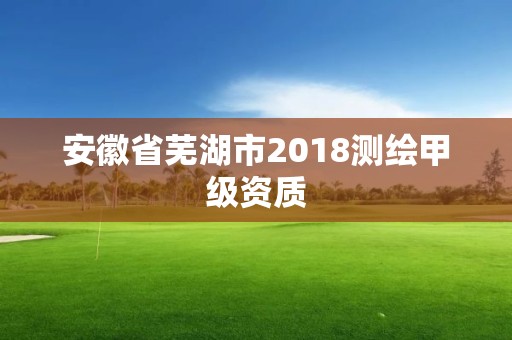 安徽省芜湖市2018测绘甲级资质