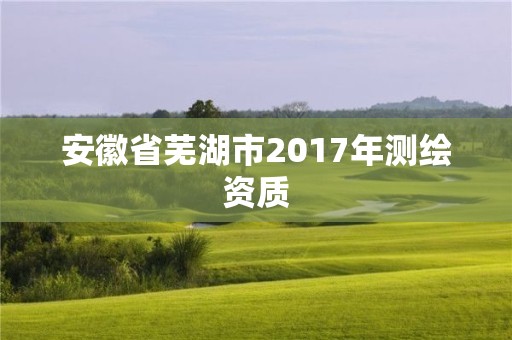 安徽省芜湖市2017年测绘资质