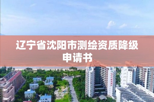 辽宁省沈阳市测绘资质降级申请书