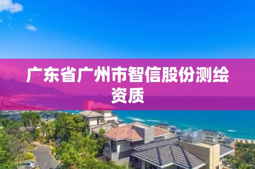 广东省广州市智信股份测绘资质