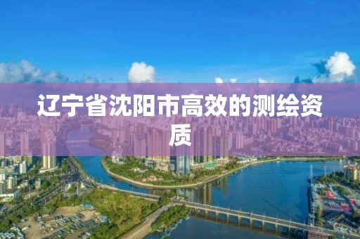 辽宁省沈阳市高效的测绘资质