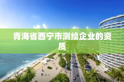 青海省西宁市测绘企业的资质