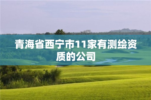 青海省西宁市11家有测绘资质的公司