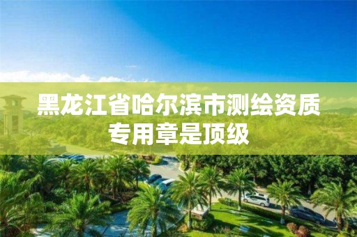 黑龙江省哈尔滨市测绘资质专用章是顶级