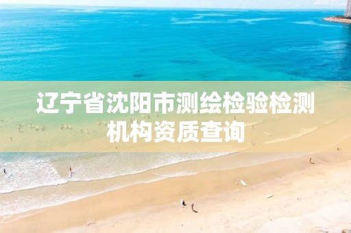 辽宁省沈阳市测绘检验检测机构资质查询