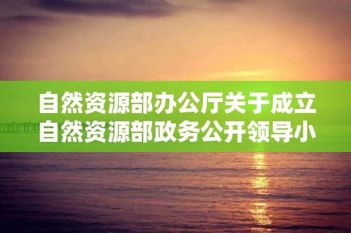 自然资源部办公厅关于成立自然资源部政务公开领导小组及办公室的通知