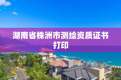 湖南省株洲市测绘资质证书打印