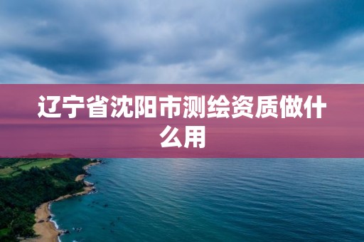 辽宁省沈阳市测绘资质做什么用