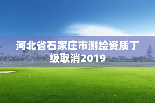 河北省石家庄市测绘资质丁级取消2019