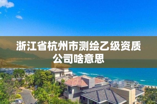 浙江省杭州市测绘乙级资质公司啥意思