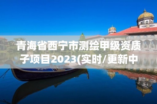 青海省西宁市测绘甲级资质子项目2023(实时/更新中)