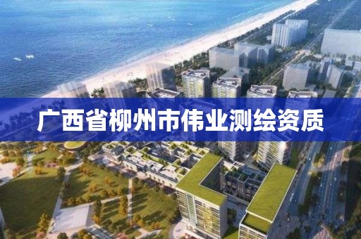 广西省柳州市伟业测绘资质