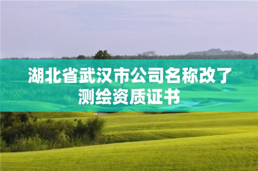 湖北省武汉市公司名称改了测绘资质证书