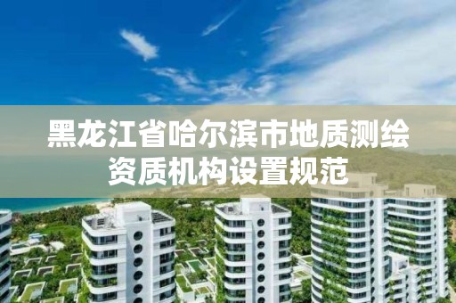 黑龙江省哈尔滨市地质测绘资质机构设置规范