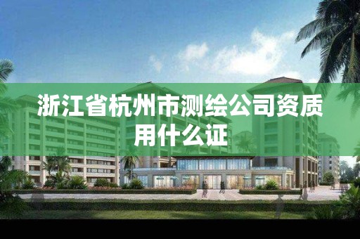 浙江省杭州市测绘公司资质用什么证