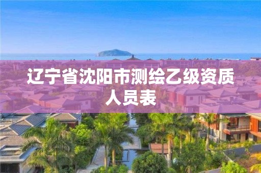 辽宁省沈阳市测绘乙级资质人员表