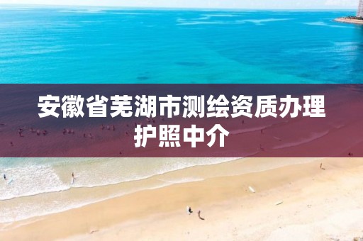 安徽省芜湖市测绘资质办理护照中介