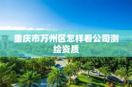 重庆市万州区怎样看公司测绘资质