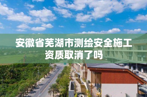 安徽省芜湖市测绘安全施工资质取消了吗