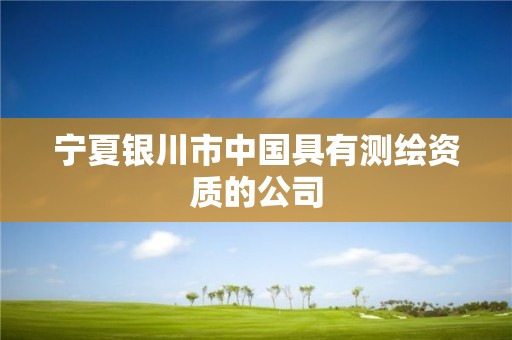 宁夏银川市中国具有测绘资质的公司