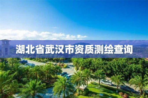 湖北省武汉市资质测绘查询