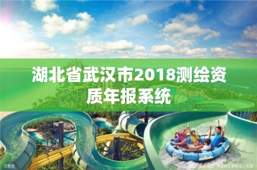 湖北省武汉市2018测绘资质年报系统